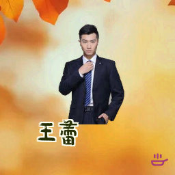 王蕾